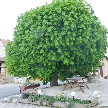 Guest house D'hote Le Marronnier Champrougier